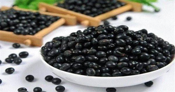 Các bước thực hiện trồng đậu tương cải tạo đất: Chuẩn bị đất, chọn giống, gieo trồng và chăm sóc đơn giản, hiệu quả cho mọi loại đất.